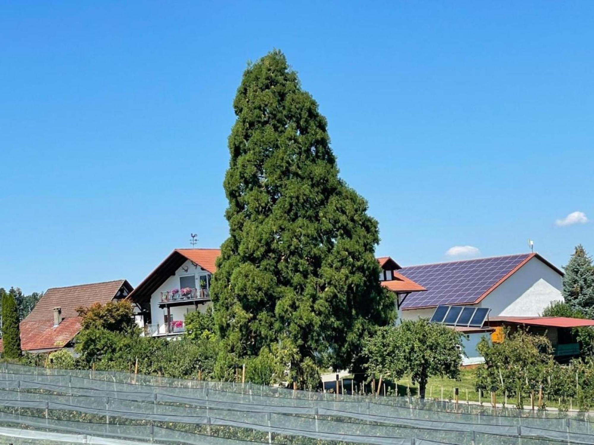 Bergchalet Mirabell - Hofgut FDH Εξωτερικό φωτογραφία